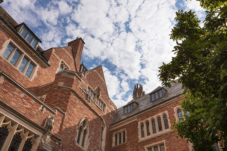 Brick façade and slate roof of Sterling Law Building and a leafy tree against a cloudy sky
