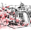 illustration of the magnolia tree at YLS